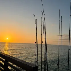 Sharky's on the Pier - Venice