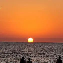 Sharky's on the Pier - Venice