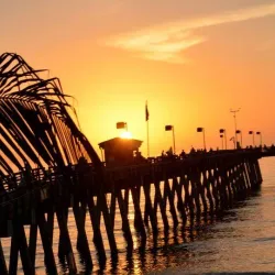 Sharky's on the Pier - Venice