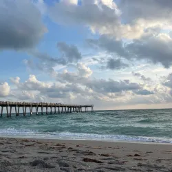 Sharky's on the Pier - Venice