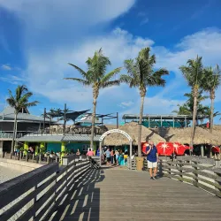 Sharky's on the Pier - Venice
