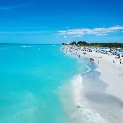 Venice Beach - Venice