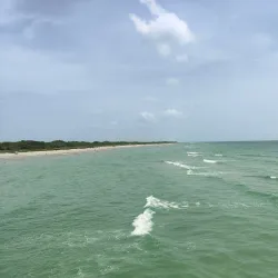 Venice Beach - Venice
