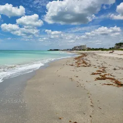 Venice Beach - Venice