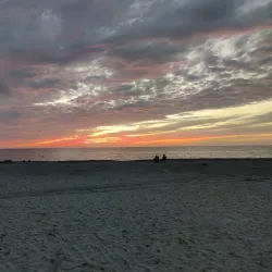 Venice Beach - Venice