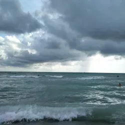 Venice Beach - Venice