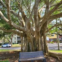 Venice Beach - Venice