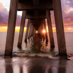 Venice Fishing Pier - Venice