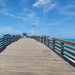Venice Fishing Pier - Venice
