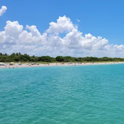 Venice Fishing Pier - Venice
