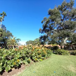 Venice Historic Downtown - Venice