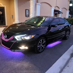 Venice Theatre - Venice