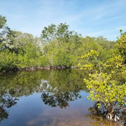 Environmental Learning Center - Vero Beach