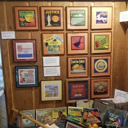 Indian River Citrus Museum - Vero Beach