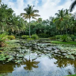McKee Botanical Garden - Vero Beach