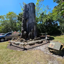 McKee Botanical Garden - Vero Beach