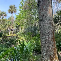 McKee Botanical Garden - Vero Beach
