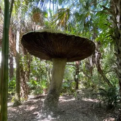McKee Botanical Garden - Vero Beach