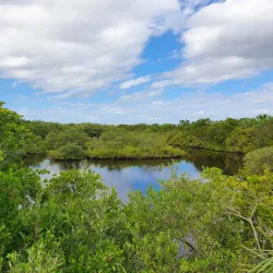 Pelican Island National Wildlife Refuge - Vero Beach
