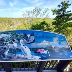 Pelican Island National Wildlife Refuge - Vero Beach