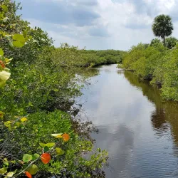 Pelican Island National Wildlife Refuge - Vero Beach