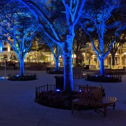 Clematis Street - West Palm Beach