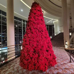 Kravis Center for the Performing Arts - West Palm Beach