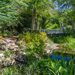 Mounts Botanical Garden - West Palm Beach
