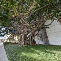 Norton Museum of Art - West Palm Beach