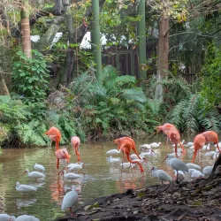 Palm Beach Zoo & Conservation Society - West Palm Beach