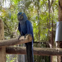 Palm Beach Zoo & Conservation Society - West Palm Beach