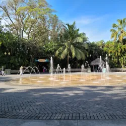 Palm Beach Zoo & Conservation Society - West Palm Beach