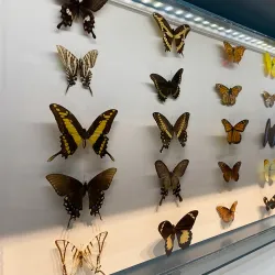 South Florida Science Center and Aquarium - West Palm Beach