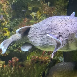 South Florida Science Center and Aquarium - West Palm Beach