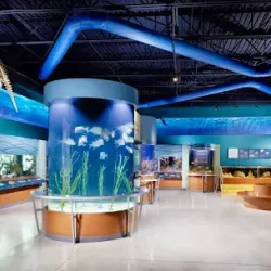 South Florida Science Center and Aquarium - West Palm Beach