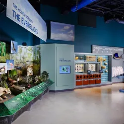 South Florida Science Center and Aquarium - West Palm Beach