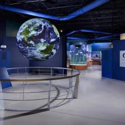 South Florida Science Center and Aquarium - West Palm Beach