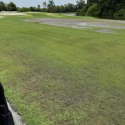 Bonaventure Golf Club - Weston