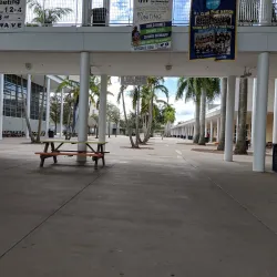 Cypress Bay High School Performing Arts Center - Weston