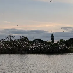 Emerald Estates Park - Weston