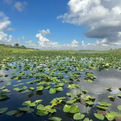 Everglades Holiday Park - Weston