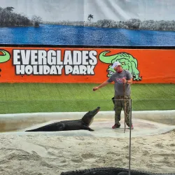 Everglades Holiday Park - Weston