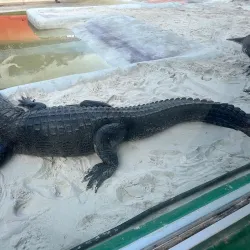 Everglades Holiday Park - Weston