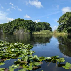 Everglades Holiday Park - Weston