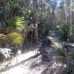Markham Park and Target Range - Weston