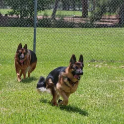 Markham Park and Target Range - Weston