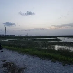 Markham Park and Target Range - Weston