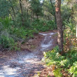 Markham Park and Target Range - Weston