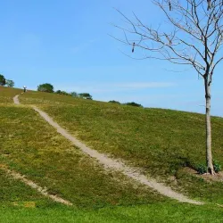 Vista View Park - Weston