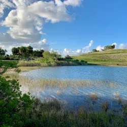 Vista View Park - Weston